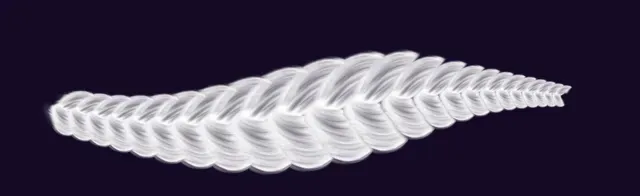 3 — Free Braids Brushes brush preview