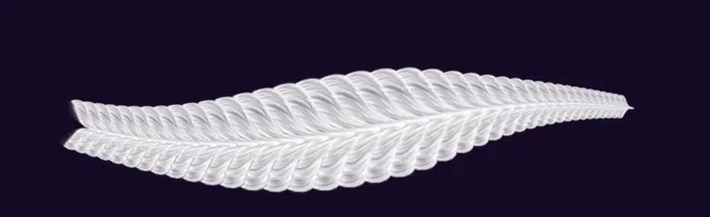 4 — Free Braids Brushes brush preview