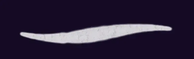 Rounded Sleek Brush — Free Neptune Watercolor Brushes brush preview