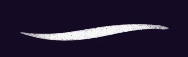 Pen + Texture 1 — Free Manga / Comic Book Brush Set brush preview