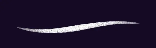 Pen + Texture 2 — Free Comic Book Brush Set brush preview