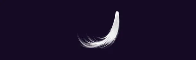 8 — Free Braids Brushes brush preview