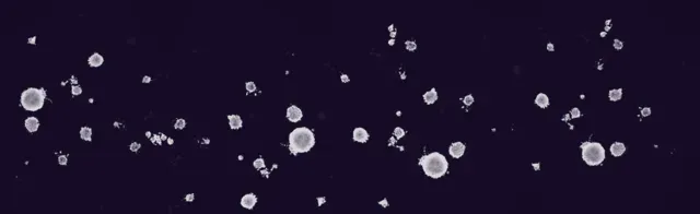 Splatter — Free Watercolor Brushes V2 brush preview