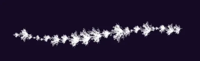 foliage builder — Foliage & Grass Brushset brush preview