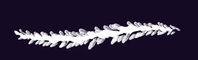 Painted leaves — Foliage & Grass Brushset brush preview