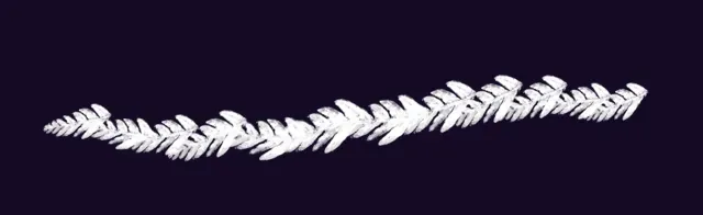 Fern — Foliage & Grass Brushset brush preview