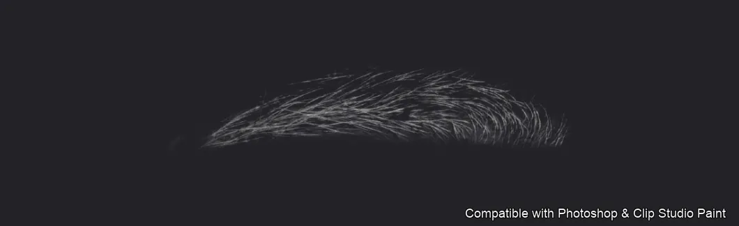 Brow Crafter brush 2 of 28 — Photoshop & Clip Studio Paint .abr preview