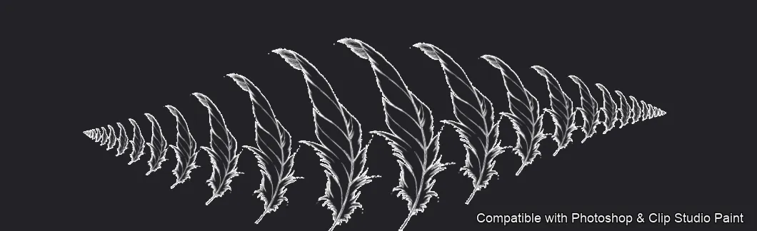 Feather Fall brush 18 of 26 — Photoshop & Clip Studio Paint .abr preview