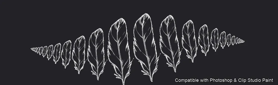 Feather Fall brush 19 of 26 — Photoshop & Clip Studio Paint .abr preview