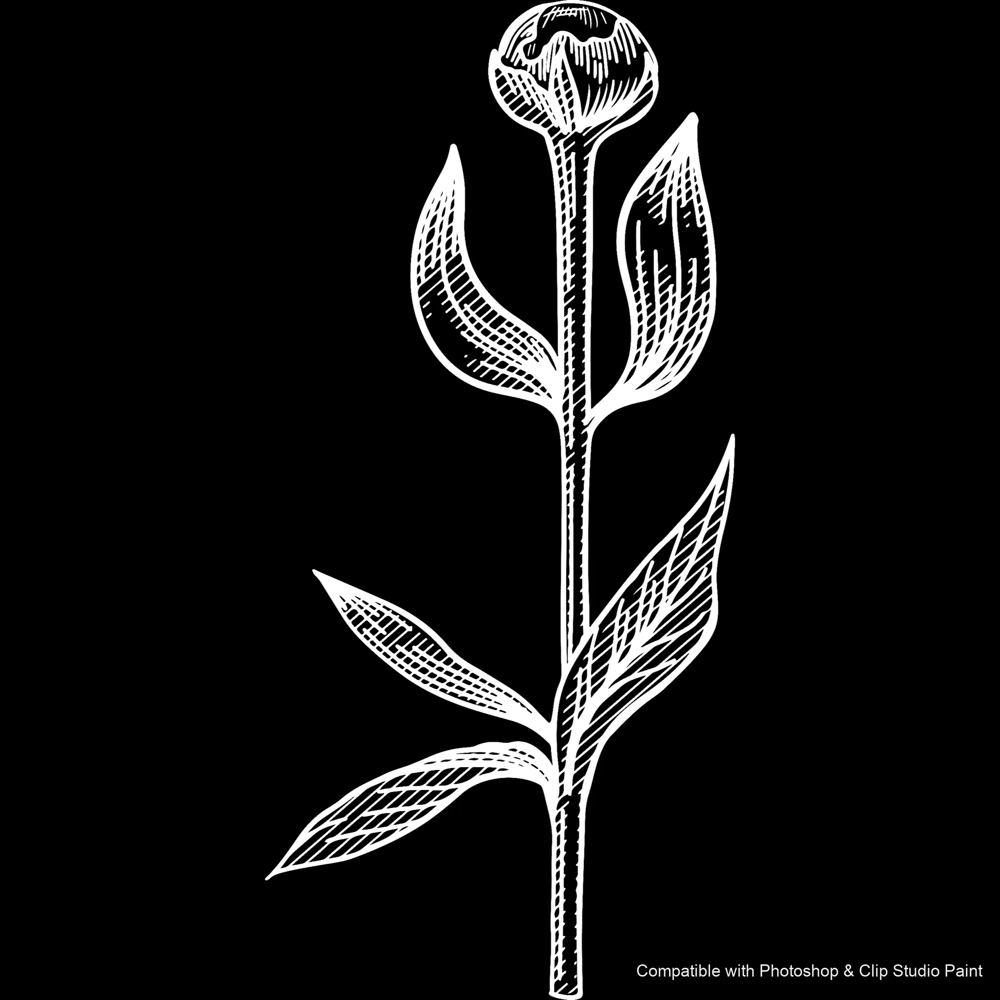 Floral Ink brush 25 of 33 — Photoshop & Clip Studio Paint .abr preview