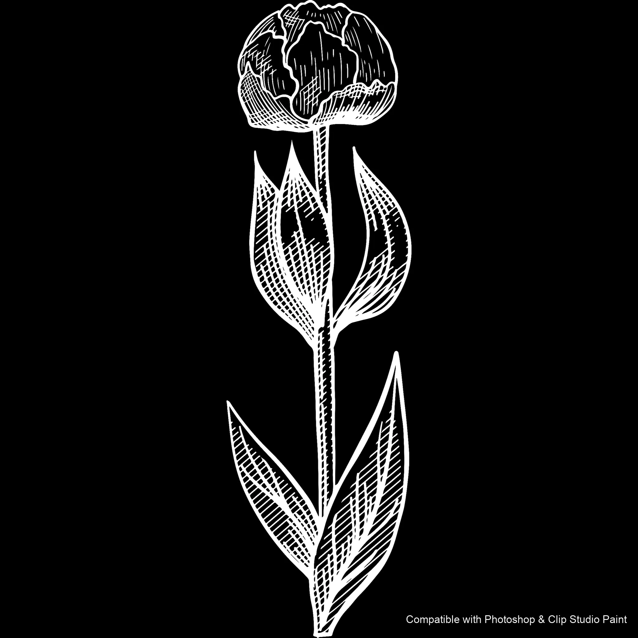 Floral Ink brush 26 of 33 — Photoshop & Clip Studio Paint .abr preview