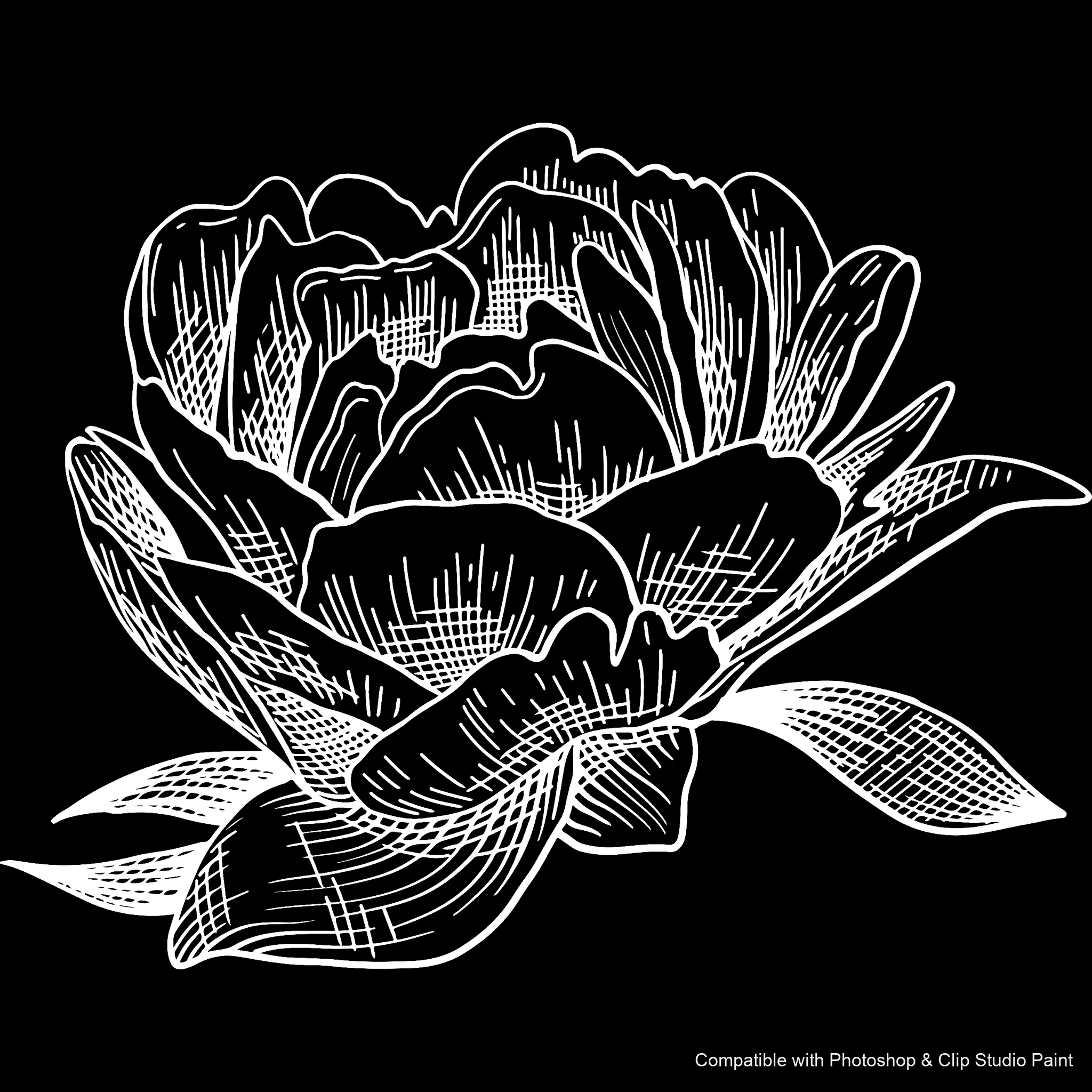 Floral Ink brush 27 of 33 — Photoshop & Clip Studio Paint .abr preview