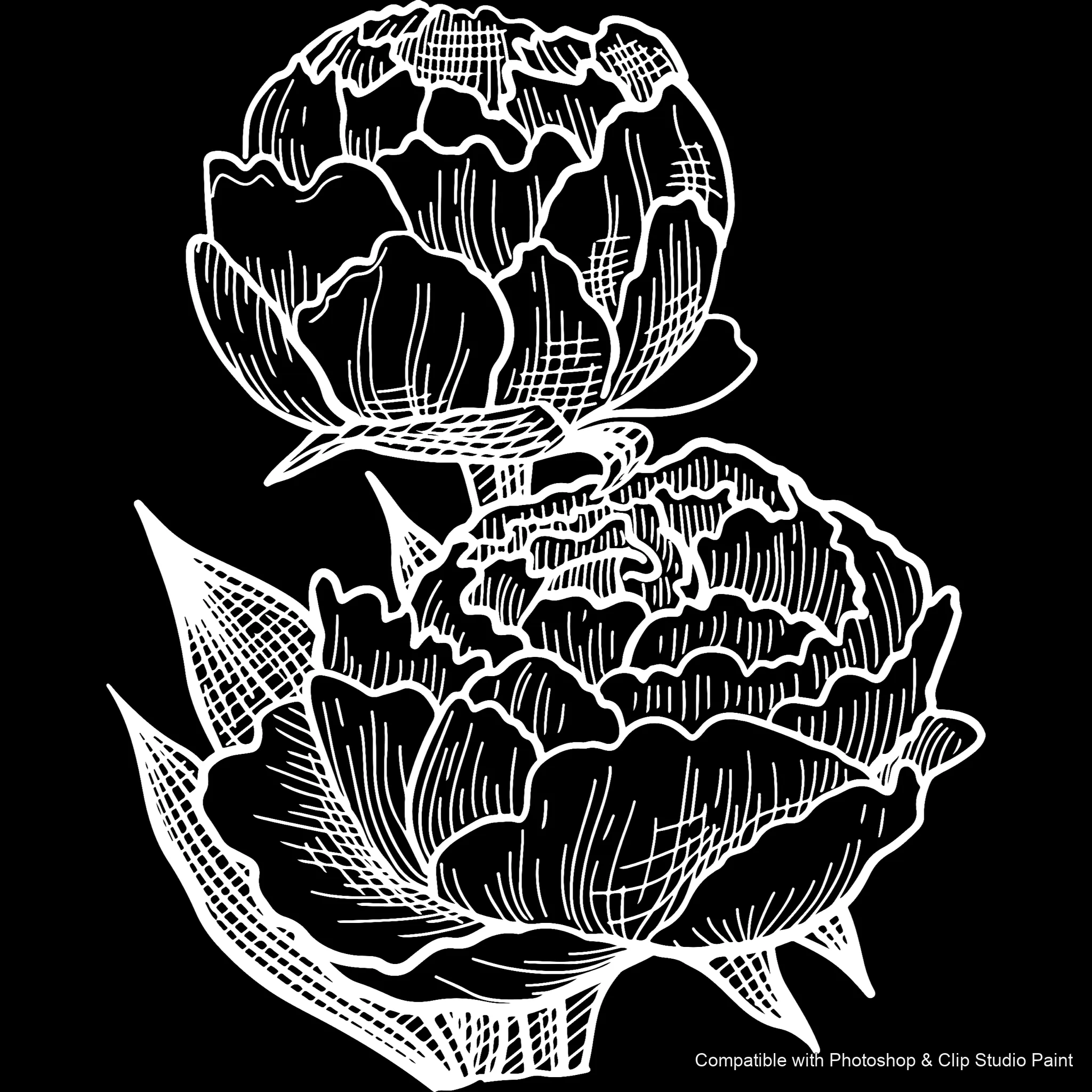 Floral Ink brush 28 of 33 — Photoshop & Clip Studio Paint .abr preview