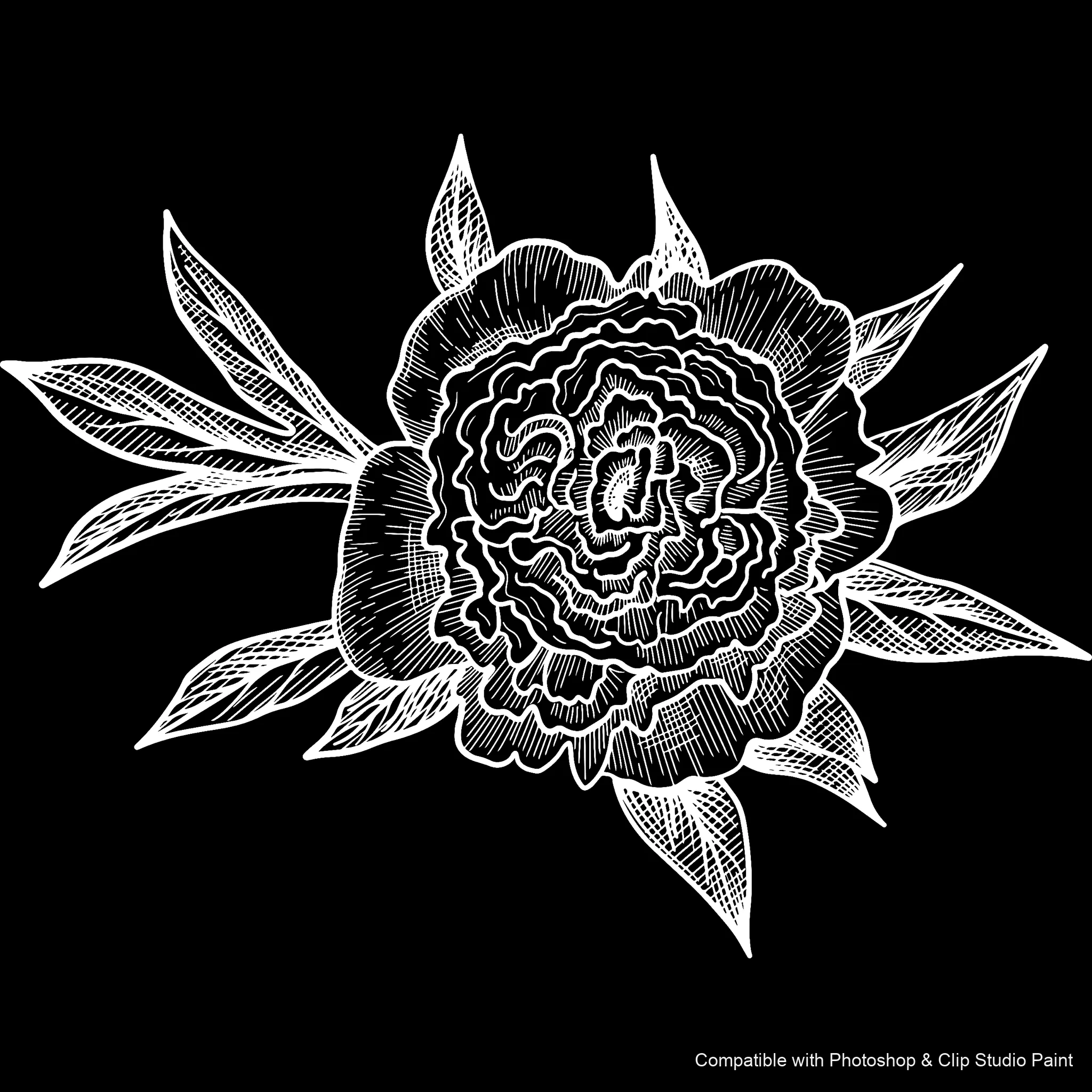 Floral Ink brush 29 of 33 — Photoshop & Clip Studio Paint .abr preview