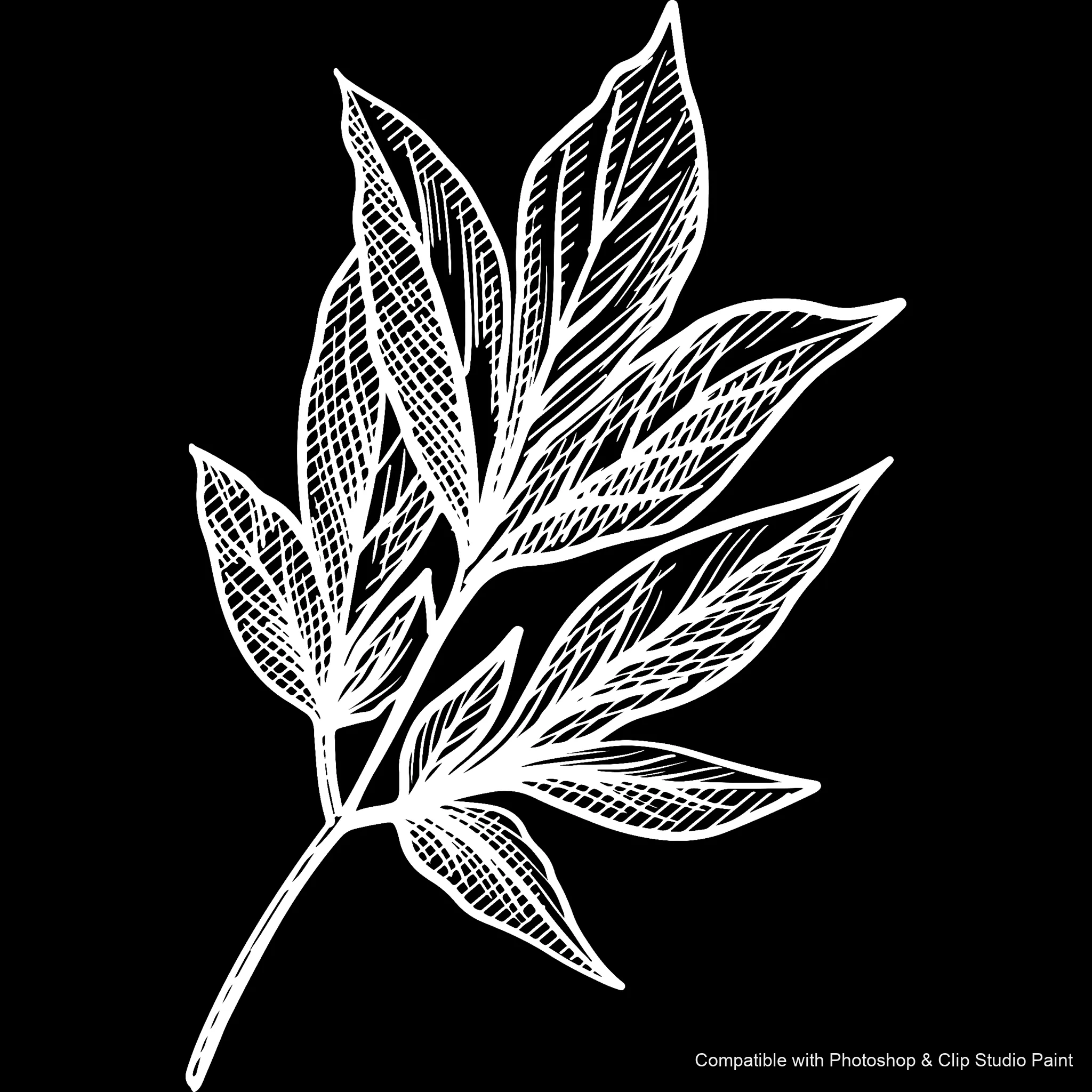 Floral Ink brush 30 of 33 — Photoshop & Clip Studio Paint .abr preview