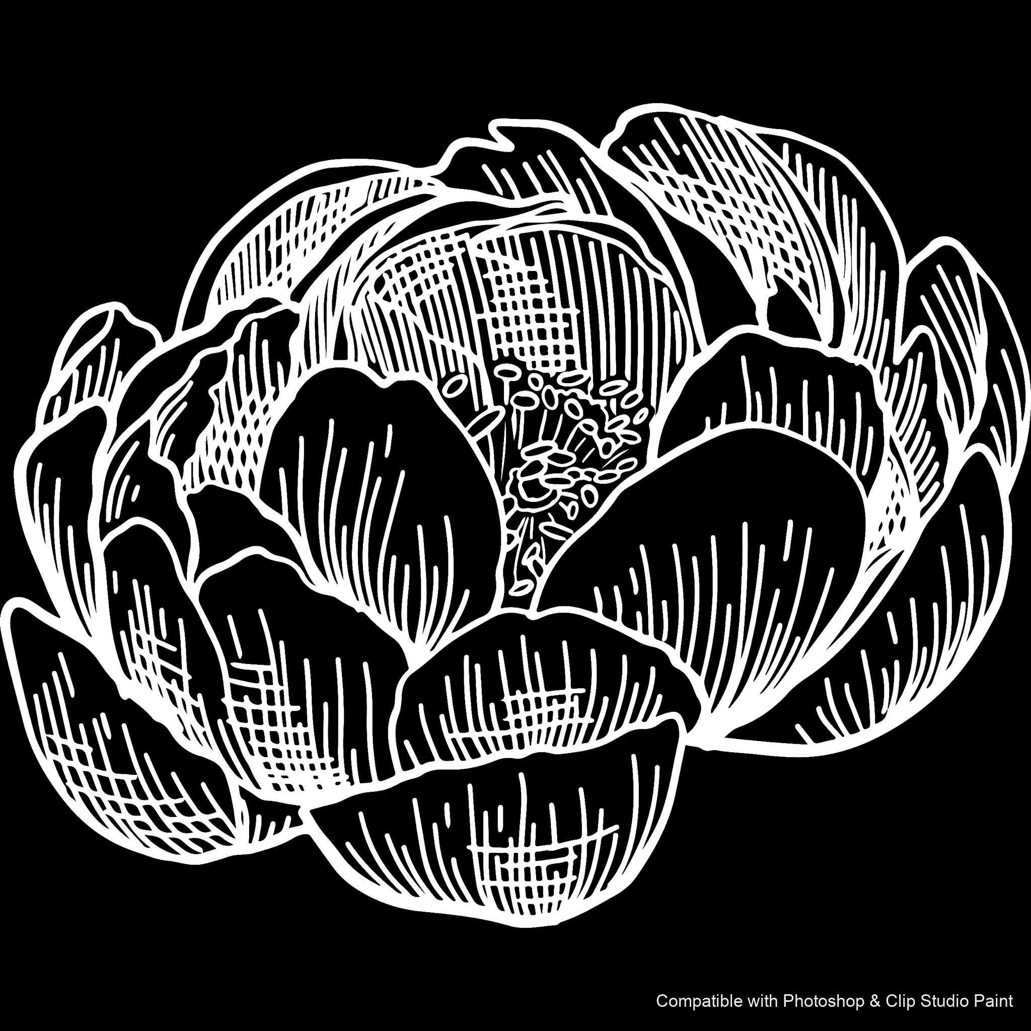 Floral Ink brush 32 of 33 — Photoshop & Clip Studio Paint .abr preview