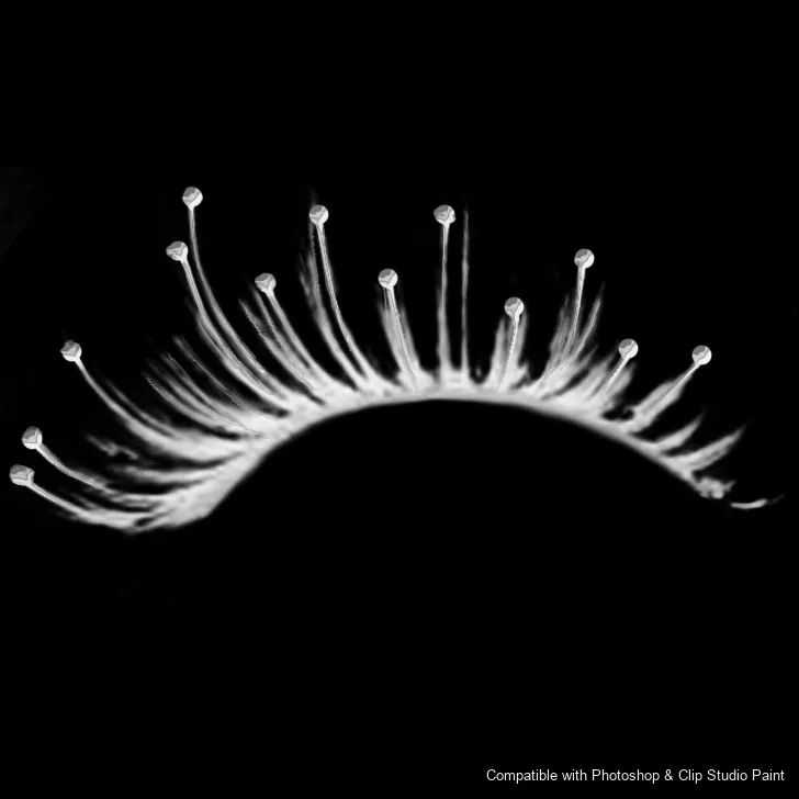 Flutter Lashes brush 22 of 46 — Photoshop & Clip Studio Paint .abr preview