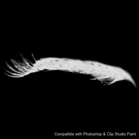 Flutter Lashes brush 24 of 46 — Photoshop & Clip Studio Paint .abr preview
