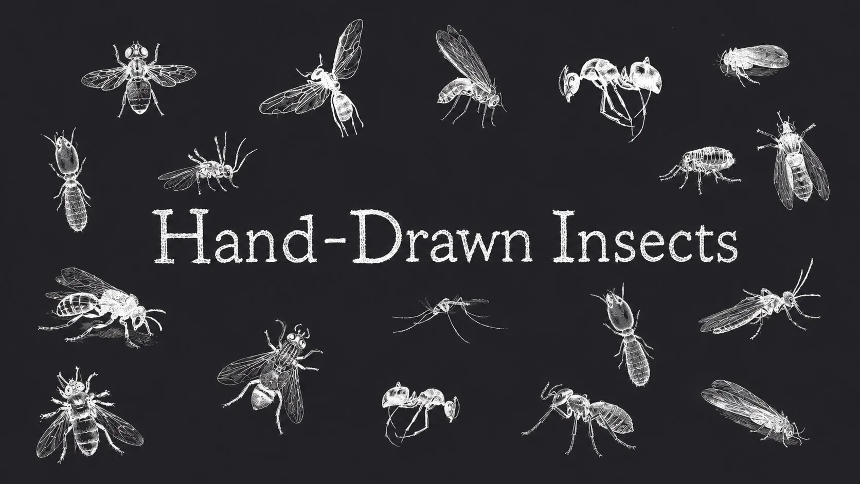 Hand-Drawn Insects Procreate brush set cover