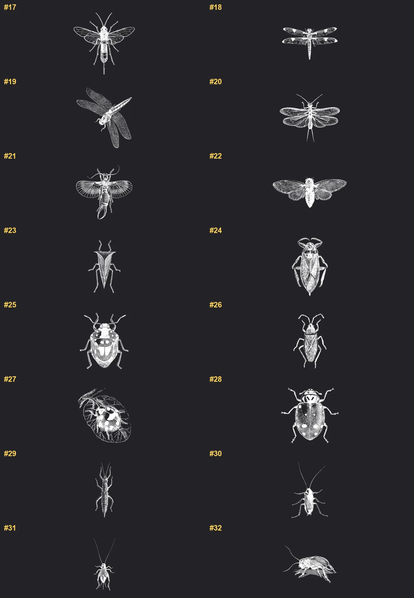 Hand-Drawn Insects Procreate brushes overview sheet 2