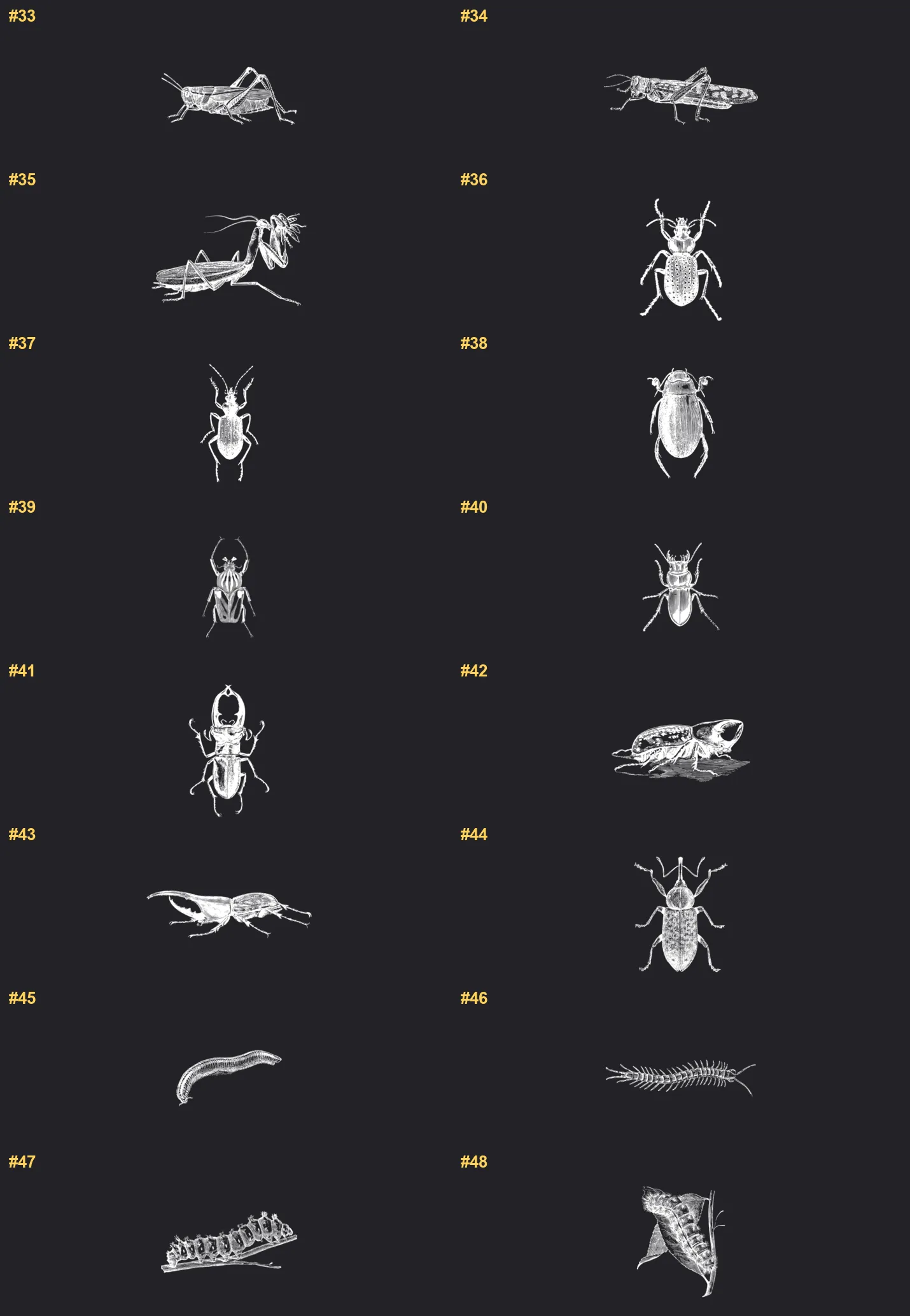 Hand-Drawn Insects Procreate brushes overview sheet 3