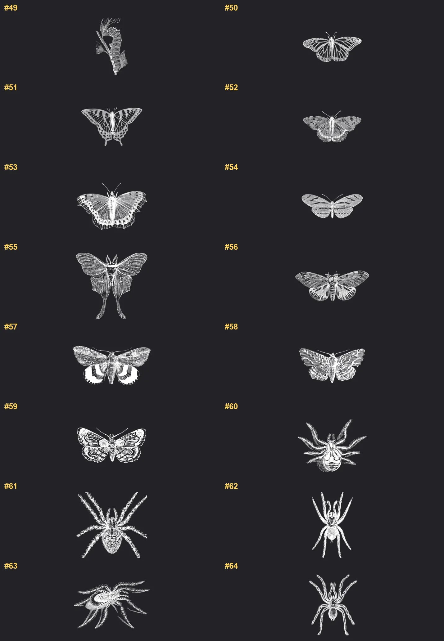 Hand-Drawn Insects Procreate brushes overview sheet 4