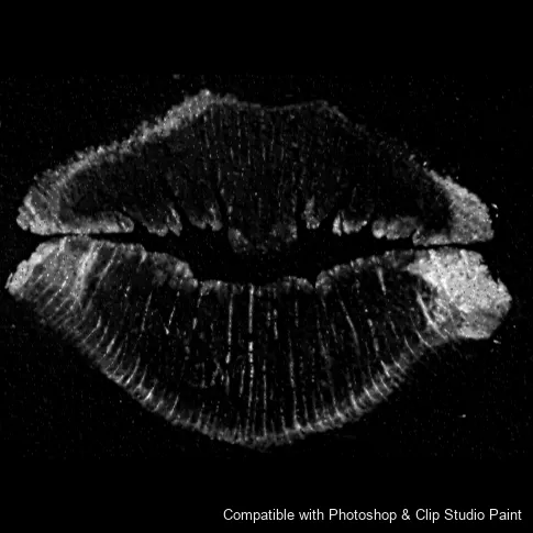 Luscious Lips brush 25 of 52 — Photoshop & Clip Studio Paint .abr preview