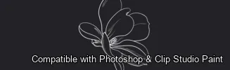Magnolia Bloom brush 2 of 60 — Photoshop & Clip Studio Paint .abr preview
