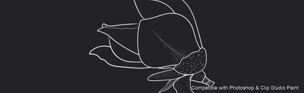 Magnolia Bloom brush 19 of 60 — Photoshop & Clip Studio Paint .abr preview