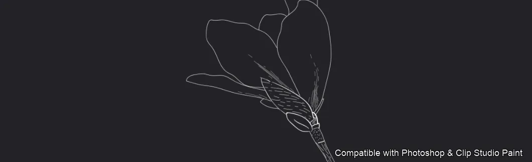 Magnolia Bloom brush 22 of 60 — Photoshop & Clip Studio Paint .abr preview