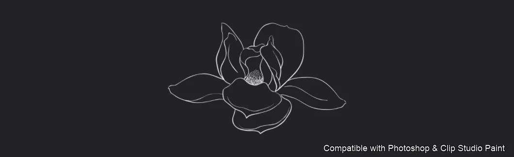 Magnolia Bloom brush 50 of 60 — Photoshop & Clip Studio Paint .abr preview