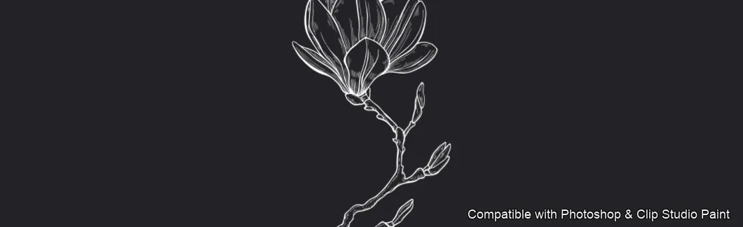 Magnolia Bloom brush 60 of 60 — Photoshop & Clip Studio Paint .abr preview