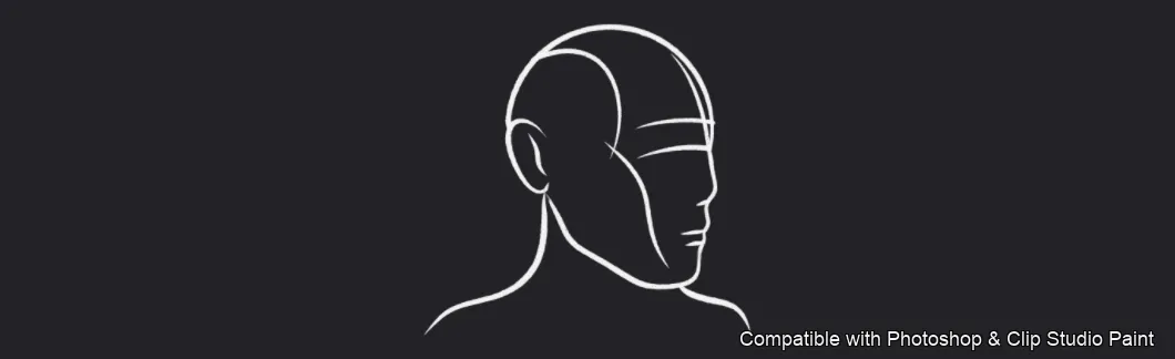 Male Head Lab brush 17 of 34 — Photoshop & Clip Studio Paint .abr preview