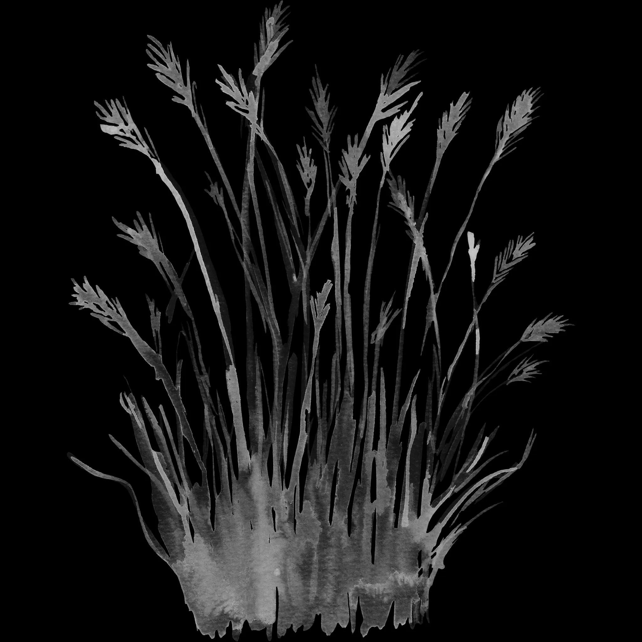 Single Grass brush 24 of 38 — Procreate stamp preview