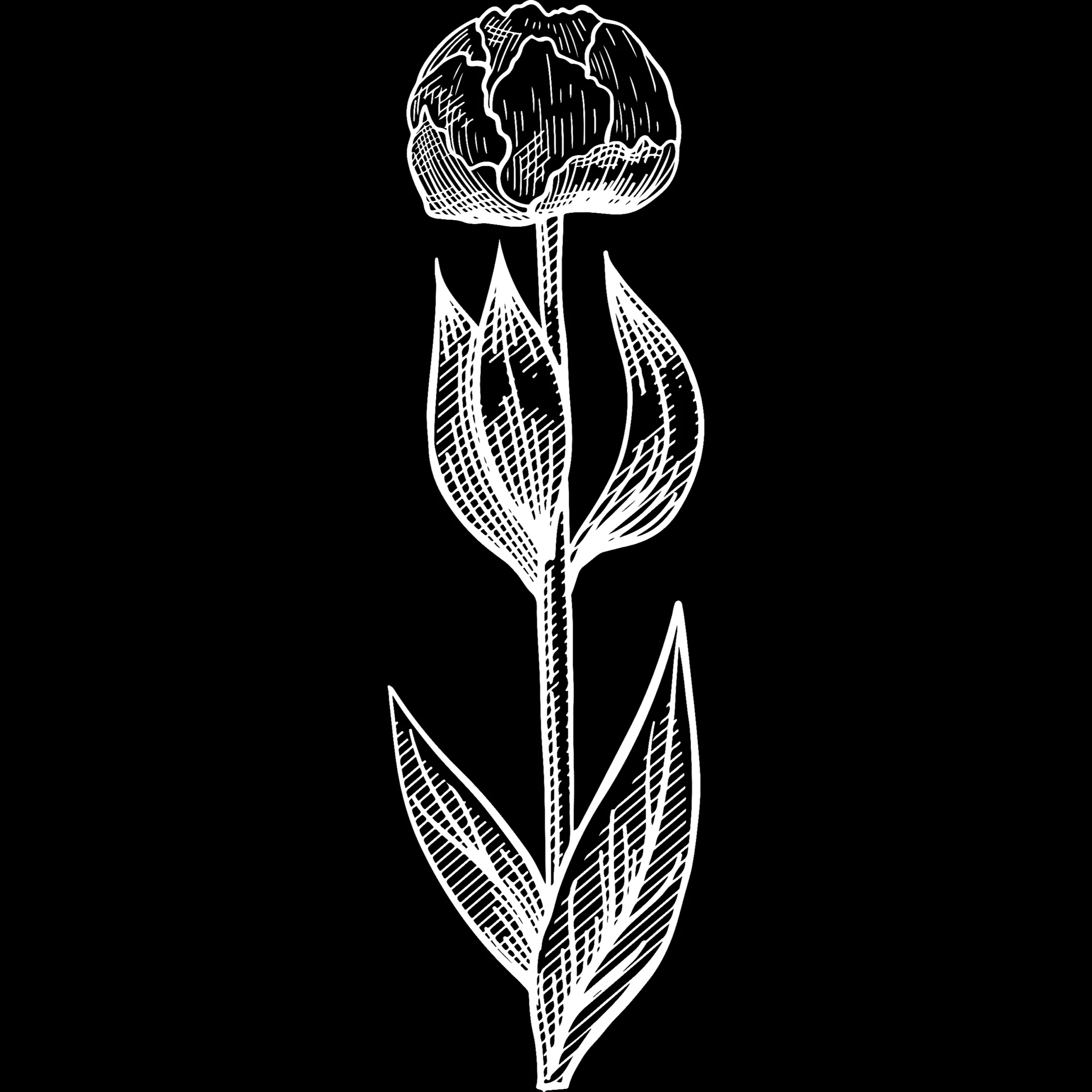 Tattoo Flower brush 26 of 33 — Procreate stamp preview