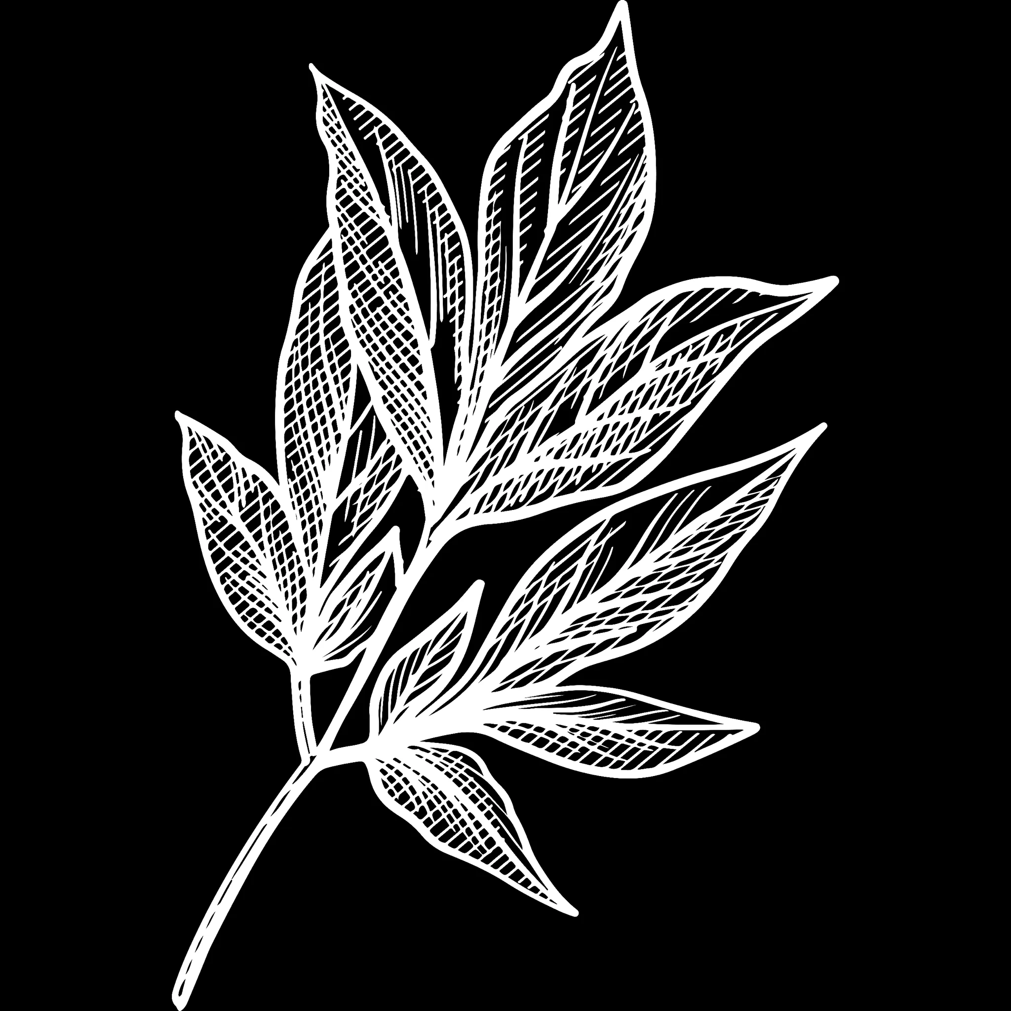Tattoo Flower brush 30 of 33 — Procreate stamp preview
